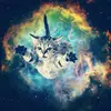 Matthew Shoup - @shoup_187 - TikTok