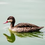 Matthew Shuler - @matt_shuler_outdoors - Instagram