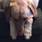 Matthew Shuler - @matthewlshuler - Instagram