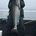 Matt Shurtleff - Facebook
