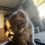 Matthew Simard - @matthew_simard_ - Instagram