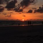 Matthew Simonds - @matthewsimonds11 - Instagram