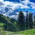 Matthew Simonelli - Facebook
