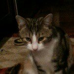 Matthew Simons - @simonsmatthew - Instagram