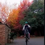 matthew simons - @matthewsimons112 - Instagram