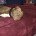 Matthew Singleton - Facebook