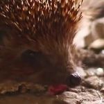 Matthew Sinkevich - @matthew_sinkevich - Instagram