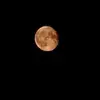 Matthew Sittner - @matthew.sittner3 - TikTok