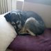 Mateusz Socha - Facebook