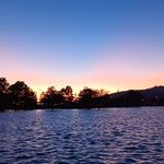 Matthew Sorrells - @matthew_sorrells - Instagram