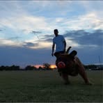 Matthew Sowell - Facebook