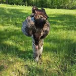 matthewspaeth - @matthewspaeth2 - Instagram