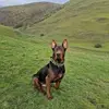 Mathew Spain - @mathew.spain - TikTok