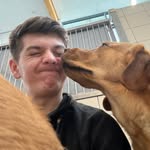 Matthew Spain - @m4tty_b_sp4nish - Instagram