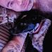 Matthew Speicher - Facebook