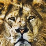 simon Matthew Speidel - @sim_s71 - Instagram