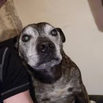 Matthew Speight - @matthewspeight1 - Instagram