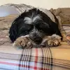 matthewpasiak - @matthew.pasiak - TikTok