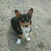Matthew Steinbach - Facebook