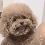 Matthew Stell - @stell_matthew - Instagram
