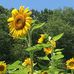 Matthew Stitzel - Facebook