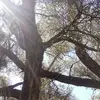 matthewtitzel - @matthewtitzel - TikTok