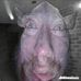 Matthew Stocks - Facebook