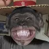 Matthew Strait - @its_that_dude_matthew - TikTok