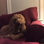 Matthew Strange - @matt_822 - Instagram