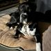 Matthew Stultz - Facebook