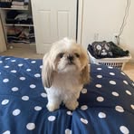 Matthew Suazo - Facebook