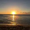jasper.matthew - @matthew.sugar - TikTok