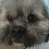 Matthew0915Sui - @matthew0915sui - TikTok