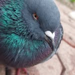 Matthew - @matthew.sui - Instagram