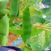 Susan Mutheu - Facebook