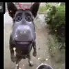 Matthew Tapia - @matthew.tapia0 - TikTok