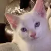 matt.tapia - @matt.tapia - TikTok