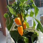 Matthew Tappeiner - @matthewtappeiner - Instagram