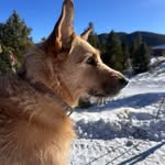 Matthew Tavares - @matthewtavares65 - Instagram