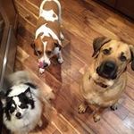 Matthew Teasley - @matthewteasley - Instagram