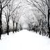 Matthew Thor - Facebook