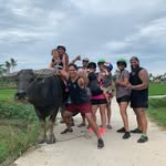 Mat Thwaites - @mat_thwaites - Instagram