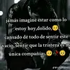 Matthew tiger - @matthewtiger2 - TikTok