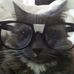 MatthewCatatouille Tilles - Facebook