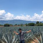 Matthew Toledo - @matthewtoledo99 - Instagram