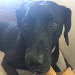 Matthew - @matthew_townsend68 - Instagram