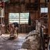 Matthew Towns - Facebook