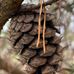 Matthew Henson Trail - Facebook