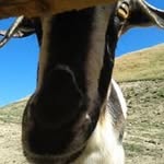 Matthew Trail - @trailmatthew - Instagram