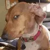 matthewtrejo307 - @matthewtrejo307 - TikTok